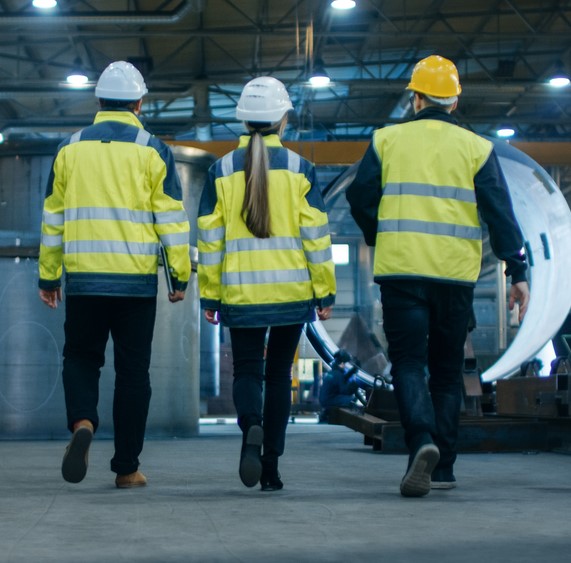 Descripción de la imagen